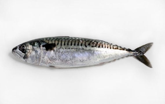 Caballa