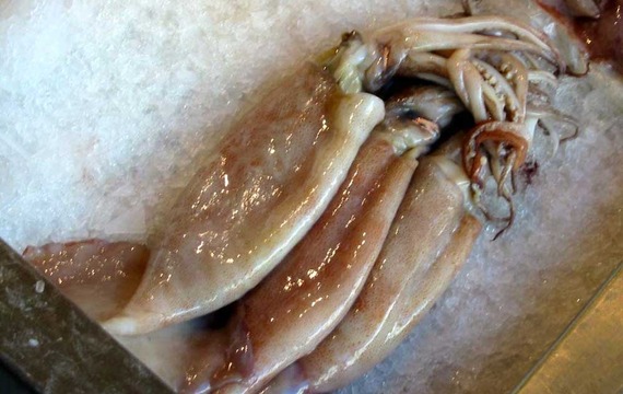 Calamares