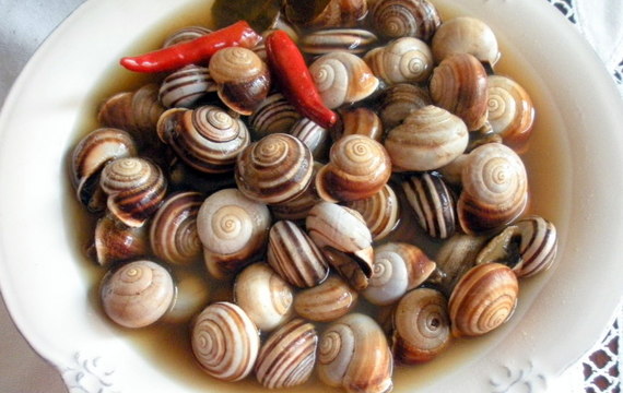Caracoles