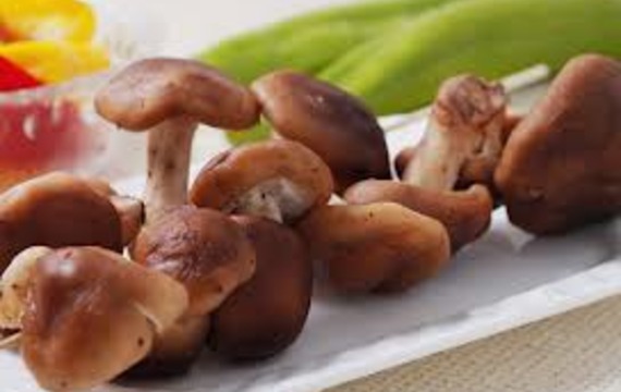 Hongos chinos