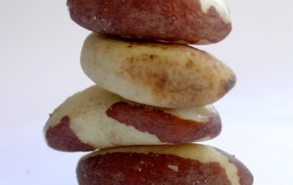 Nueces brasileras