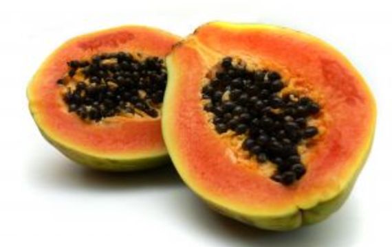 Papaya