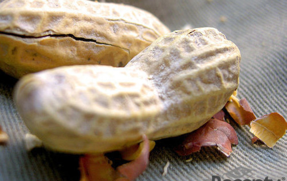 Cacahuates
