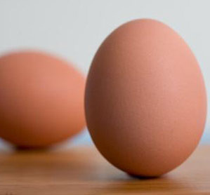 ¿Cuánto pesa el huevo?