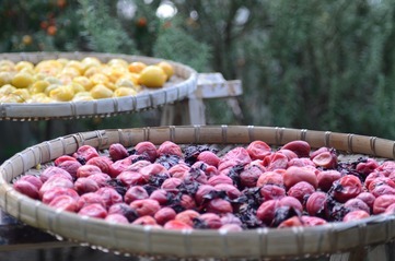 Frutos secos: ¿Tienes exceso de fruta? ¡Hemos preparado instrucciones para usted sobre cómo procesarlo rápidamente y fácilmente! - imagen No. 1