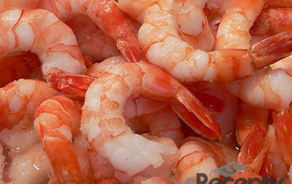 Camarones