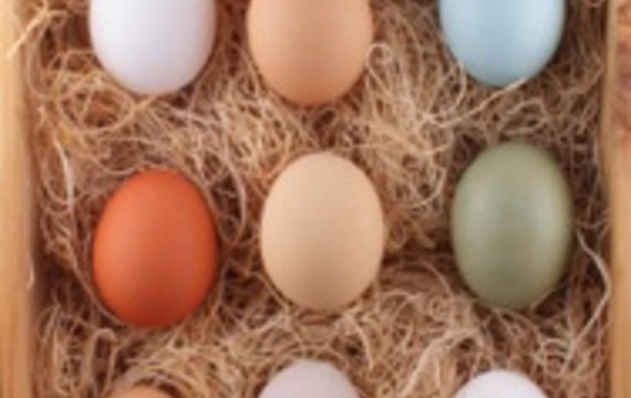 Los distintos huevos, modifican la receta final?